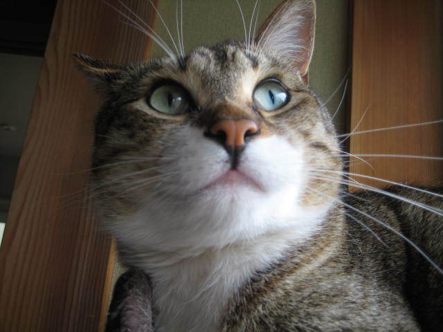 f0316507_21304876.jpg