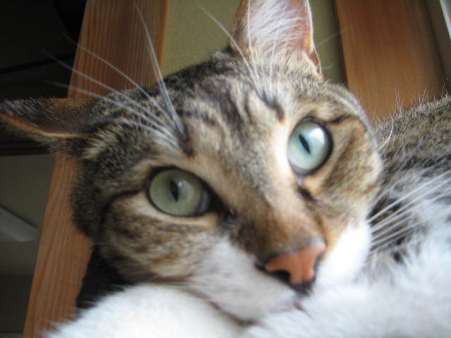 f0316507_21311004.jpg