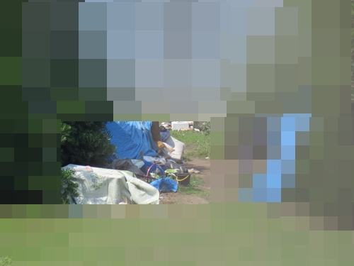 e0188009_8554669.jpg
