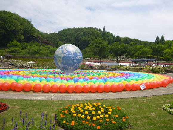 d0170615_10503083.jpg