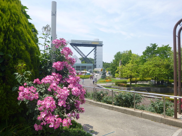 d0170615_1052130.jpg