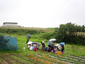 d0120421_12234519.jpg