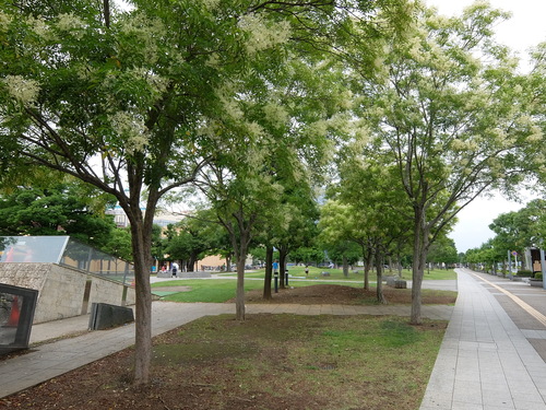 f0128821_2273874.jpg