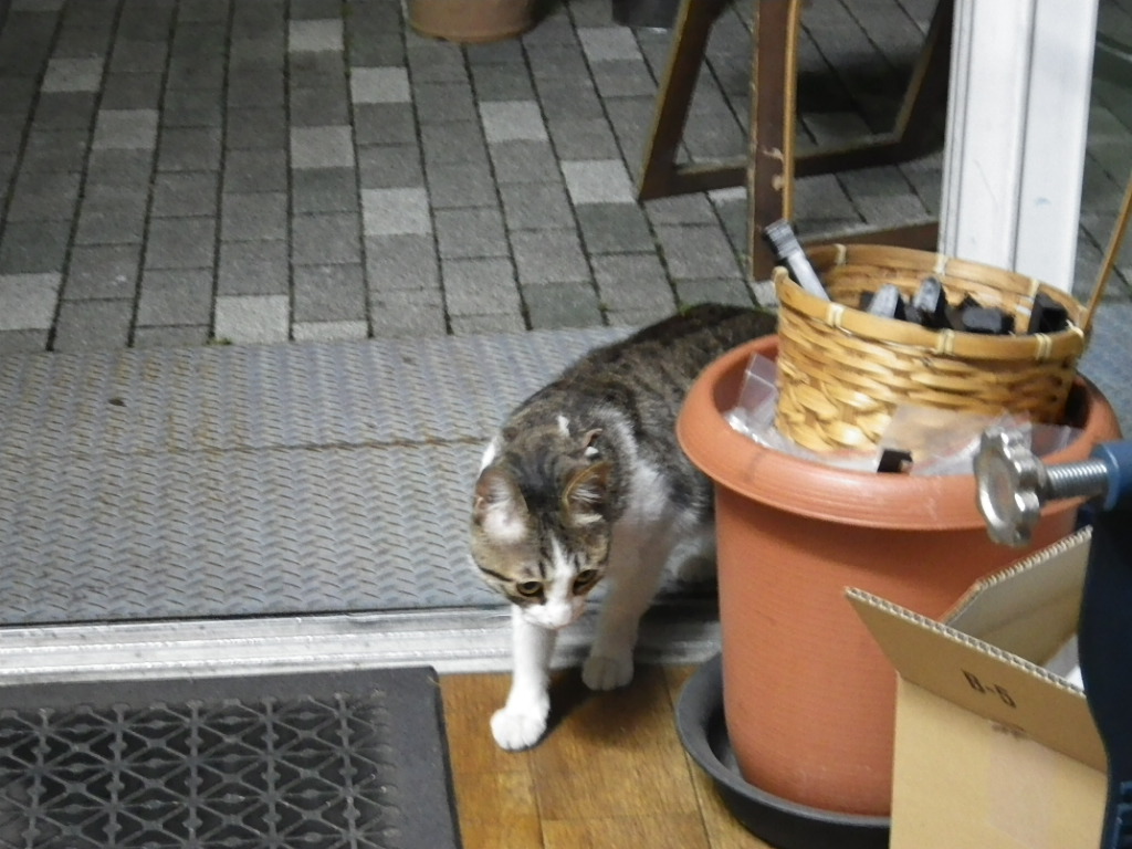 c0189724_20184132.jpg