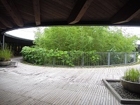f0151628_21500014.jpg