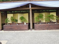 f0151628_21500882.jpg