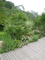 f0151628_21503190.jpg