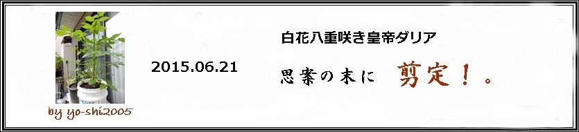 e0033229_1812237.jpg