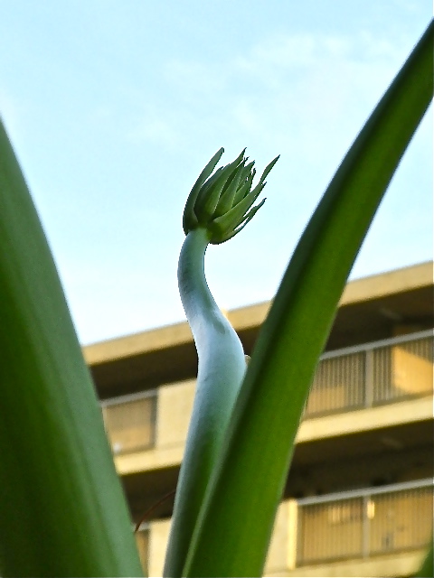 b0027736_18455571.jpg
