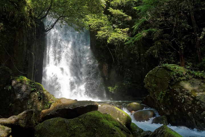 f0274536_1673410.jpg