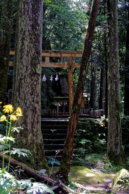 f0274536_167483.jpg