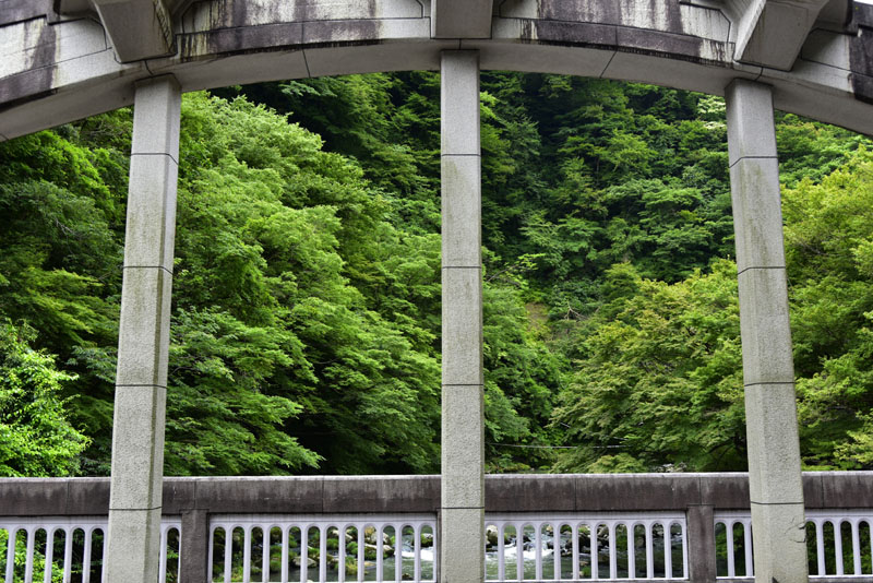 b0042837_21163324.jpg