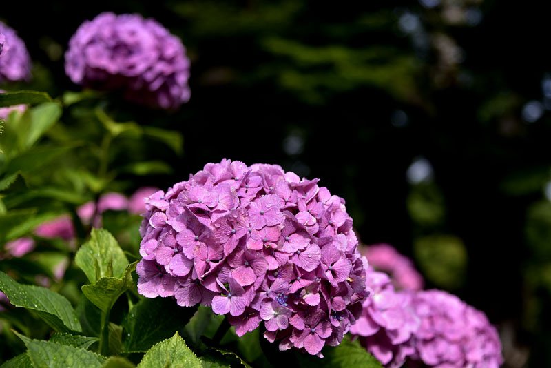b0042837_2183531.jpg