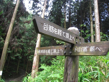 c0077338_17252348.jpg