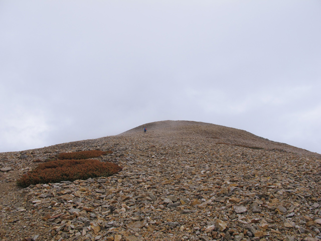 c0116856_20264144.jpg