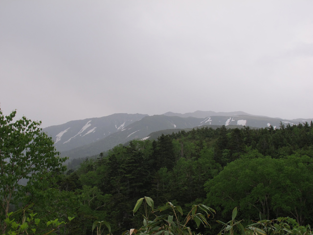c0116856_2072695.jpg