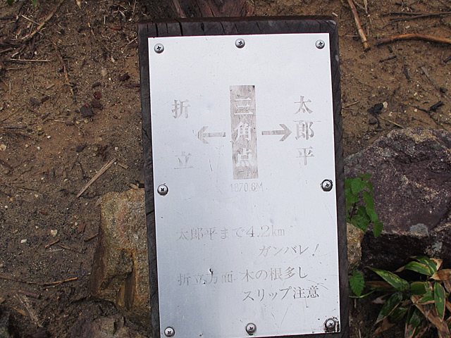 c0116856_207491.jpg