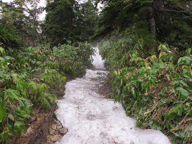 c0116856_209184.jpg