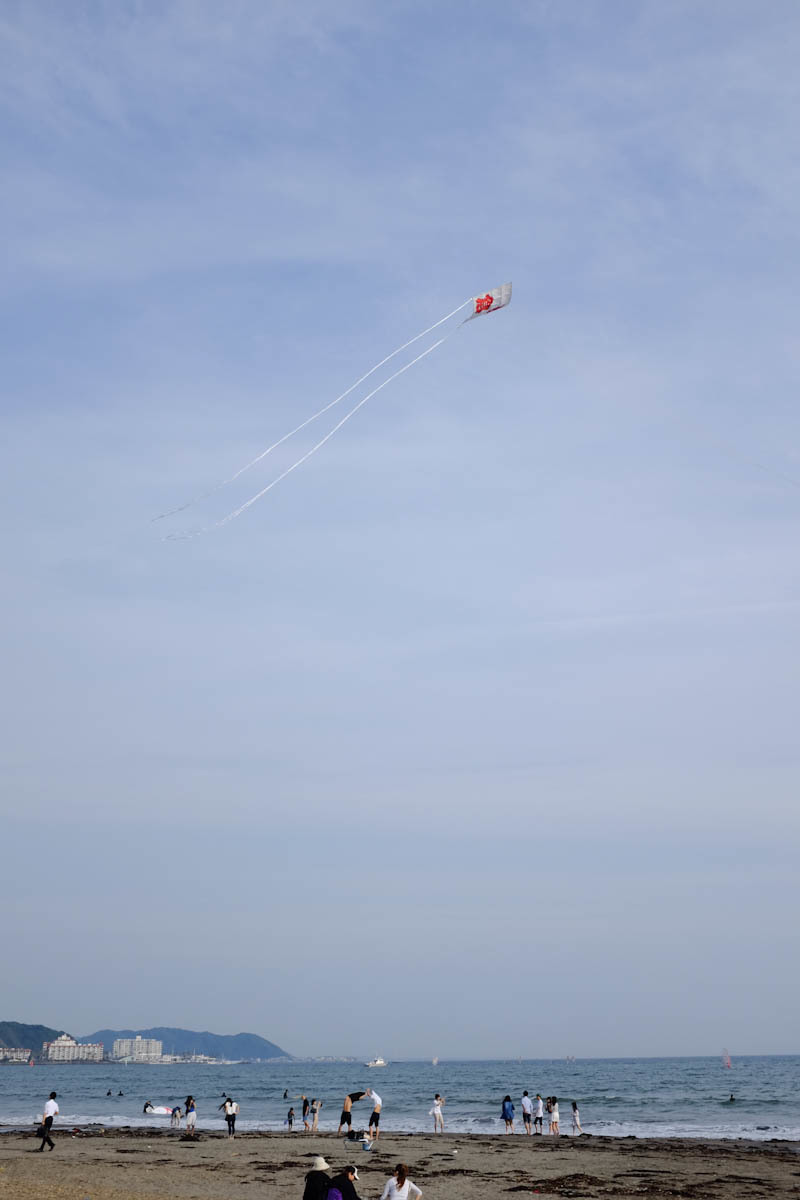 c0084666_16431363.jpg