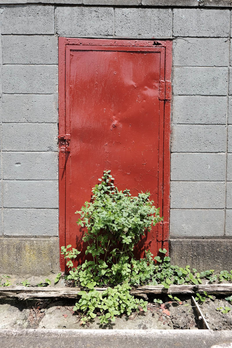 c0084666_21254276.jpg