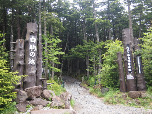 c0144868_1211943.jpg