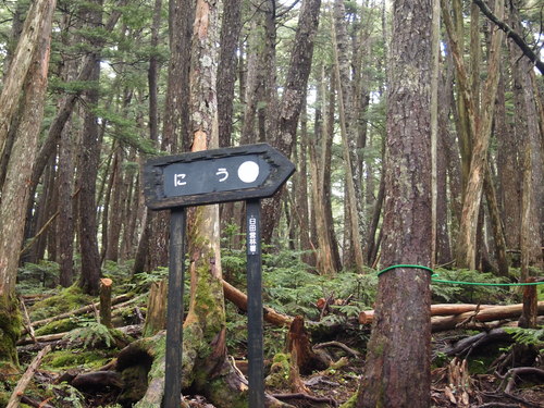 c0144868_1231663.jpg