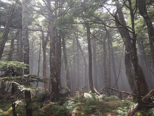 c0144868_12325038.jpg