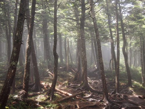 c0144868_1238138.jpg
