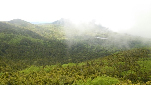c0144868_1248532.jpg