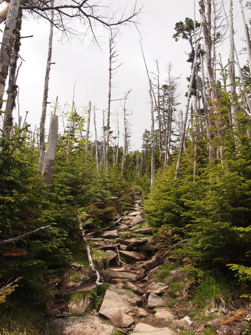 c0144868_12543530.jpg