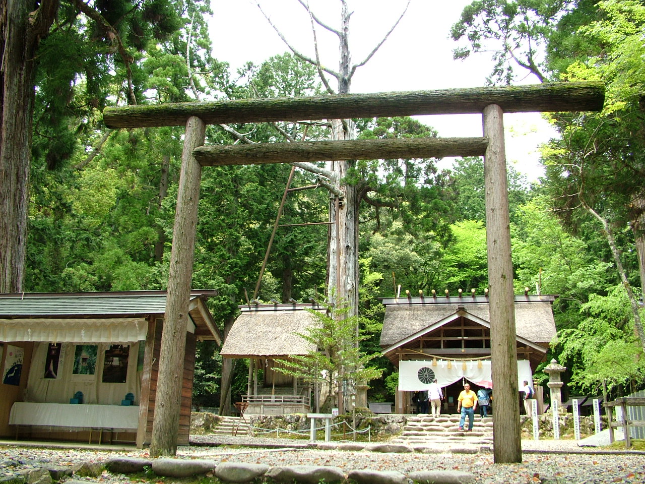 b0141970_17525979.jpg