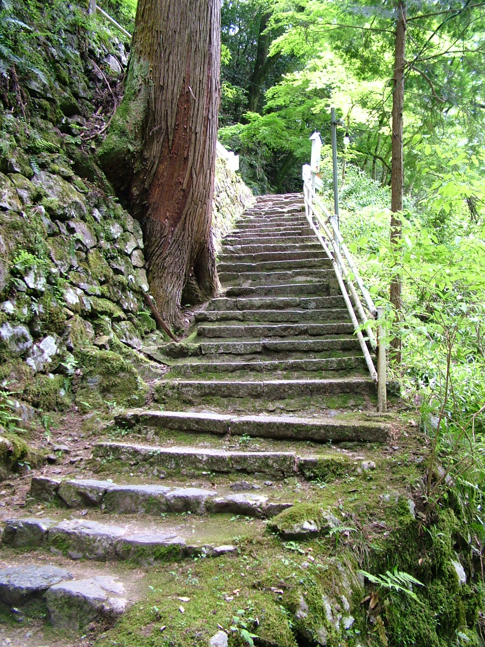 b0141970_9462656.jpg