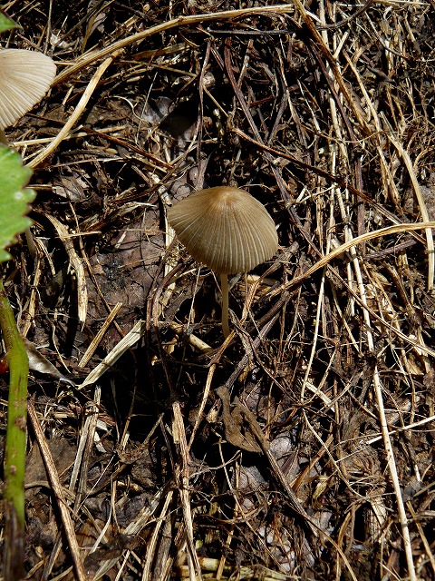 d0019074_7171998.jpg