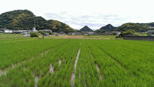 e0020682_19492074.jpg
