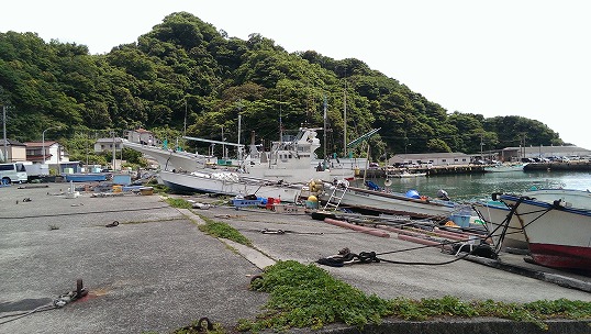 e0020682_19594319.jpg