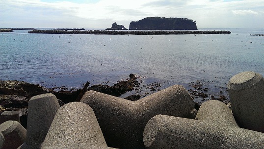 e0020682_206436.jpg