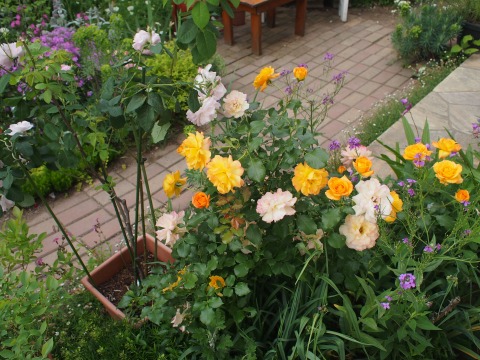 c0117007_21562842.jpg
