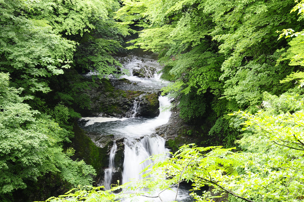 f0206417_20525988.jpg