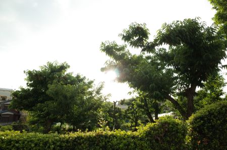 f0132230_1302894.jpg