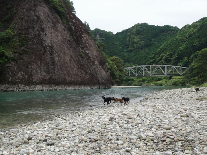 f0088731_0153640.jpg