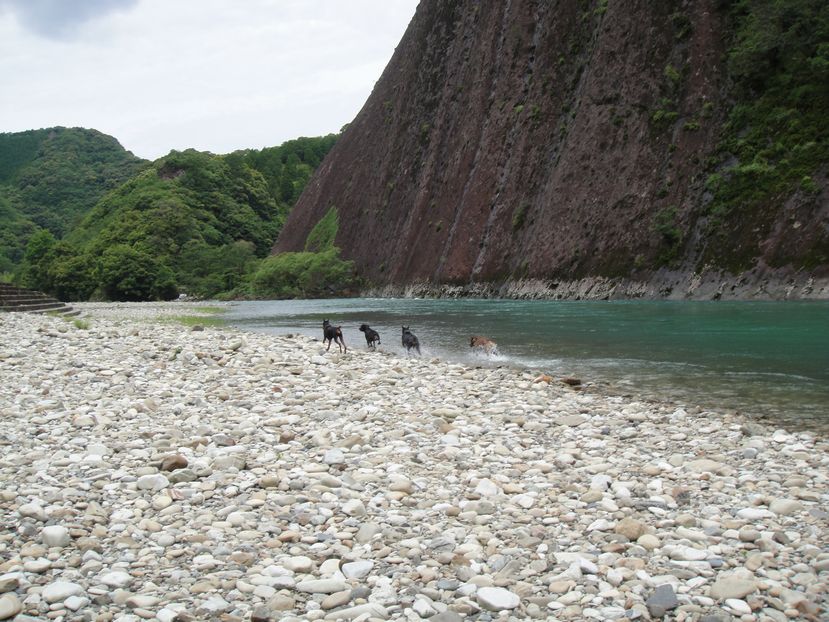 f0088731_018563.jpg