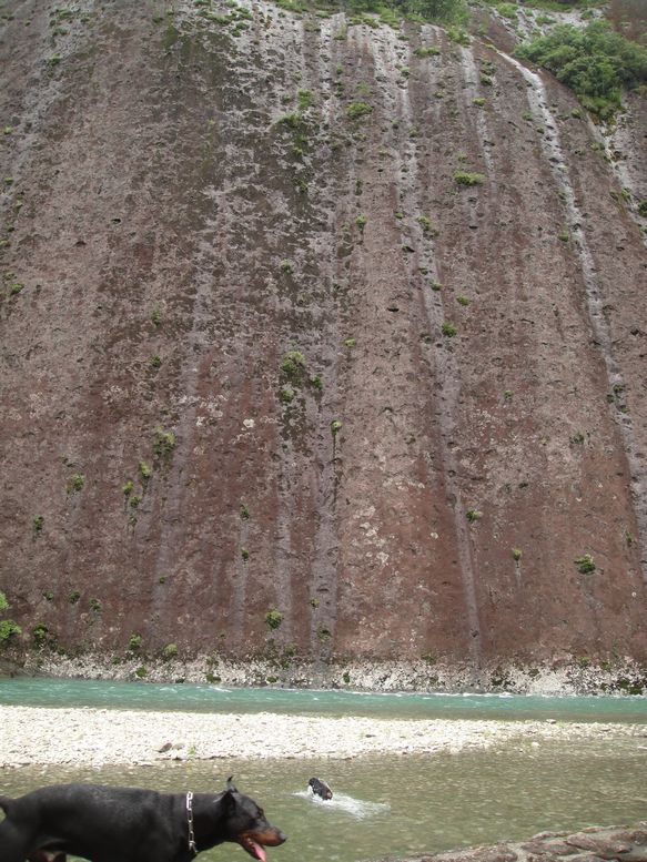 f0088731_021402.jpg