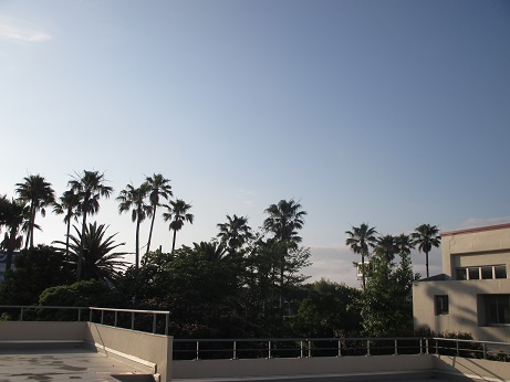 e0069234_634441.jpg
