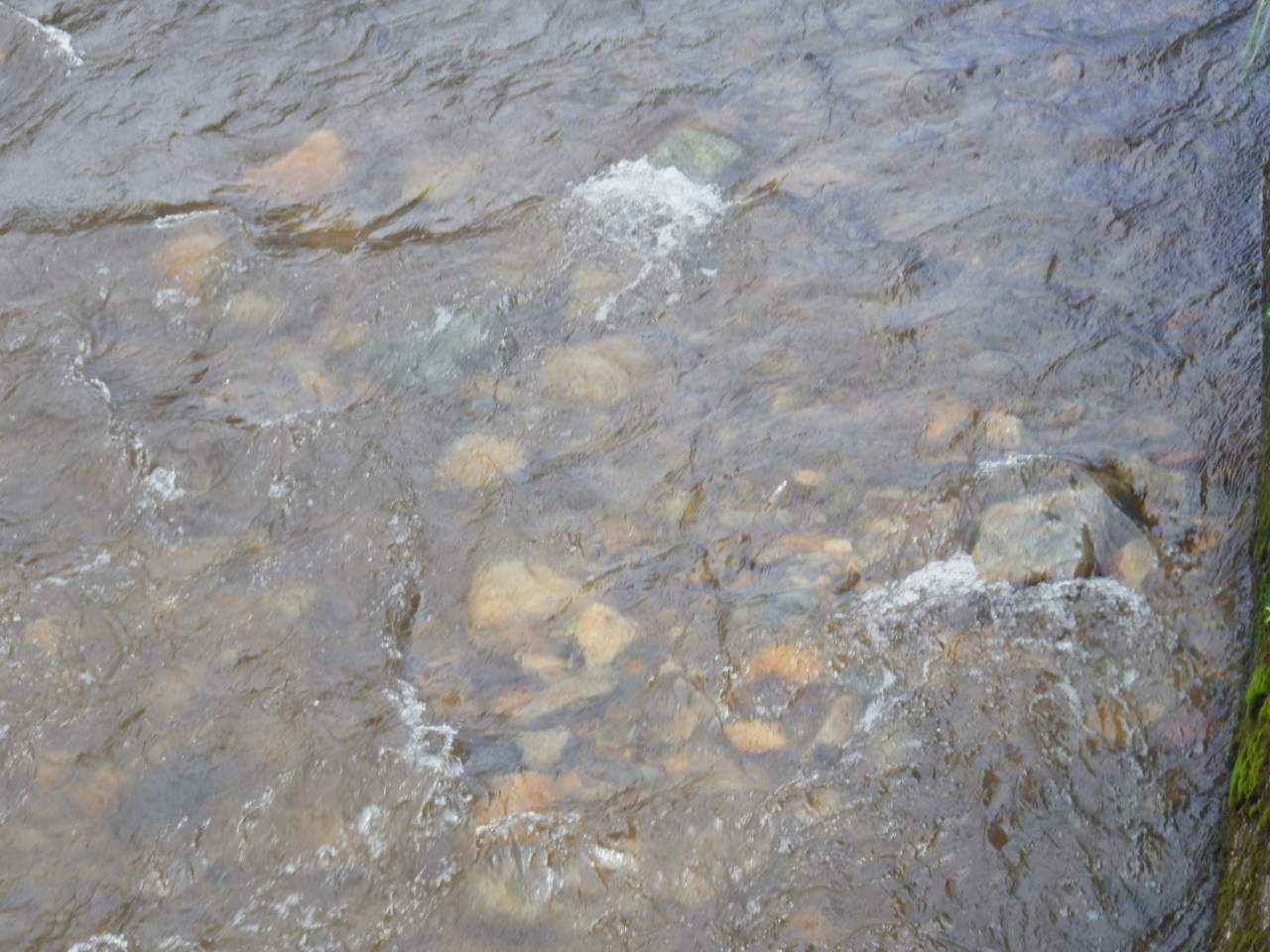c0300035_954789.jpg