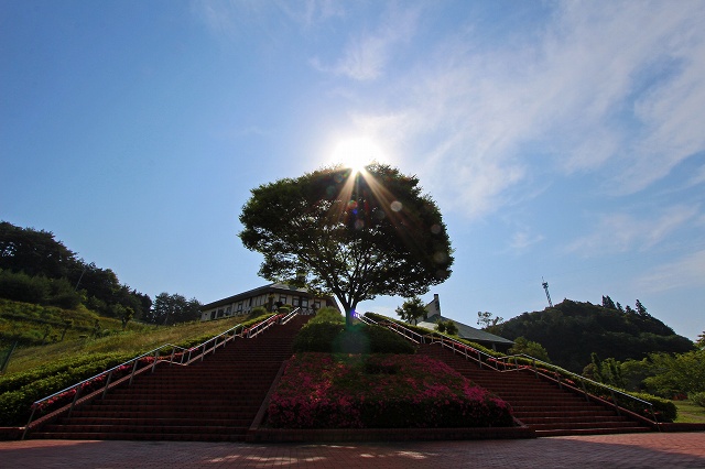 a0242438_18495675.jpg
