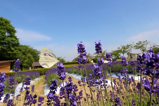 a0242438_18501570.jpg