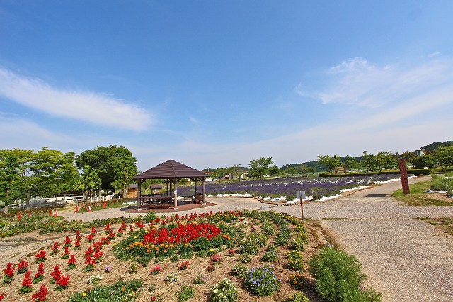 a0242438_18522678.jpg