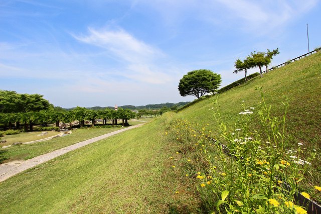 a0242438_1854125.jpg