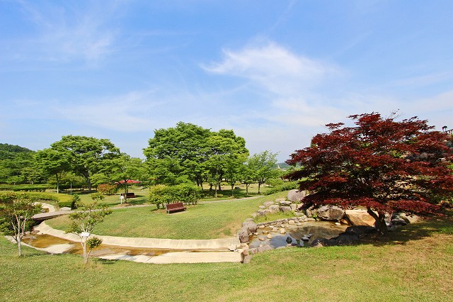 a0242438_18542630.jpg