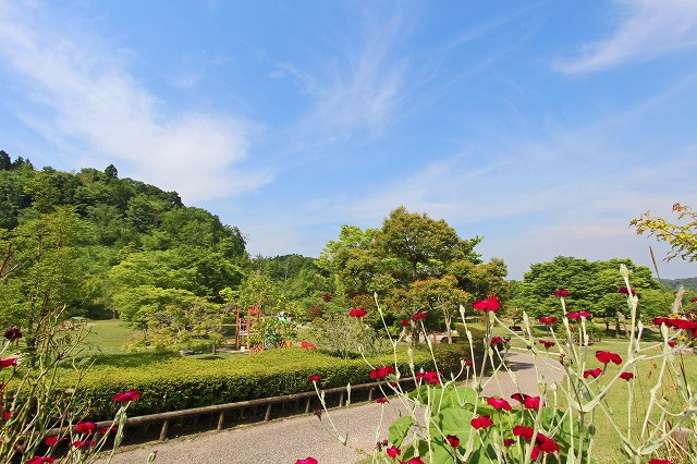 a0242438_18543370.jpg